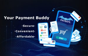 Your Payment Buddy FAQ